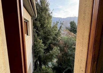 IMG_3955.JPG - Terratetto - Terracielo Stazzema - foto 7