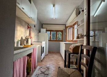 IMG_3956.JPG - Terratetto - Terracielo Stazzema - foto 8