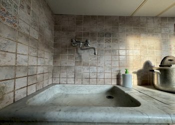 IMG_3961.JPG - Terratetto - Terracielo Stazzema - foto 13