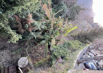 IMG_3968.JPG - Terratetto - Terracielo Stazzema - foto 20