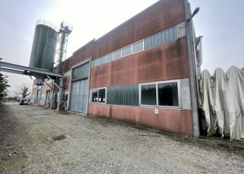 IMG_6115.jpeg - Shed Via Po 2, Codogno - photo 3