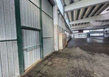 IMG_6143.jpeg - Shed Via Po 2, Codogno - photo 21