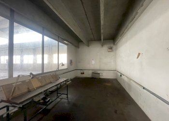 IMG_6158.jpeg - Shed Via Po 2, Codogno - photo 29