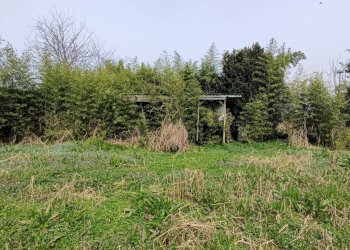 Villa Santa Lucia di Piave - foto 8