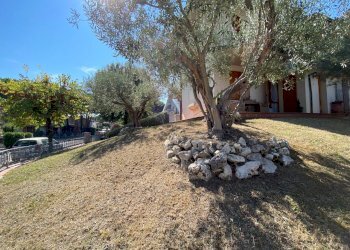 Villa Bifamiliare Cervia - foto 1