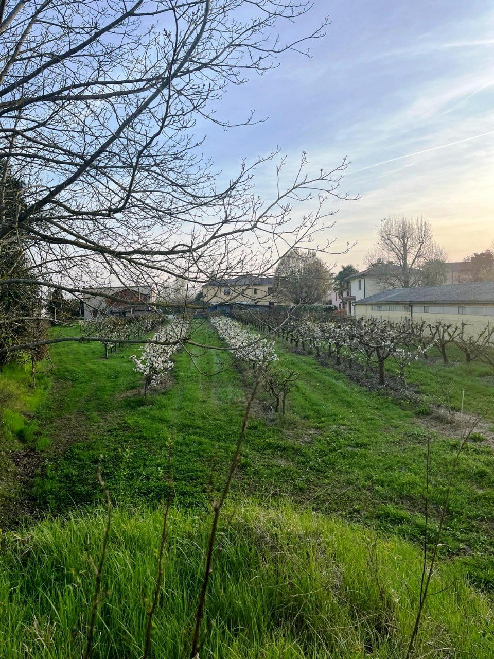 Terreno edificabile Massa Lombarda - foto 3