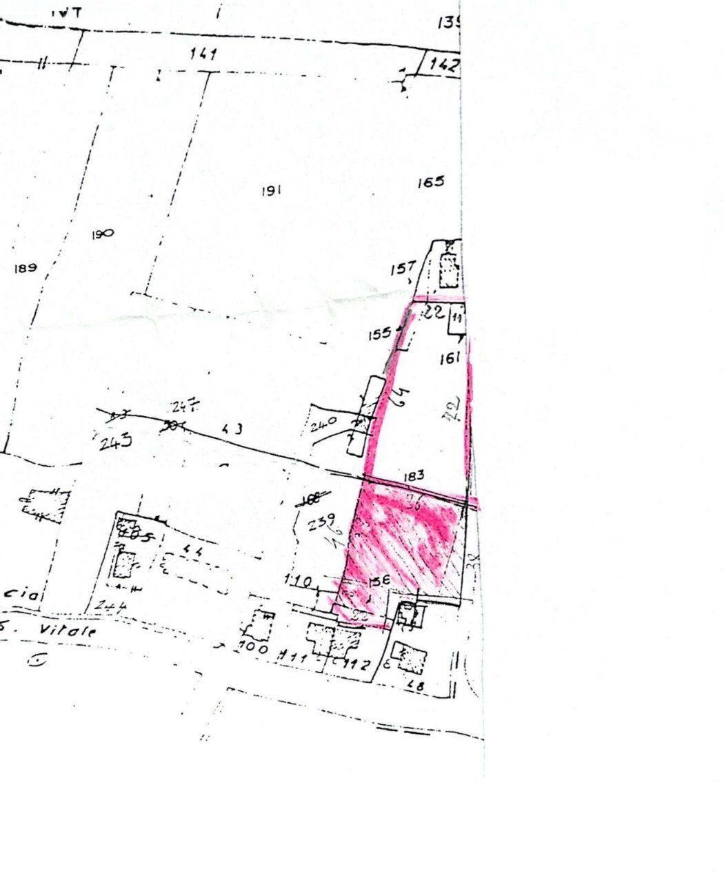 Terreno edificabile Massa Lombarda - planimetria 1