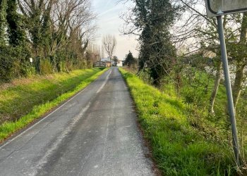 Terreno edificabile Massa Lombarda - foto 2