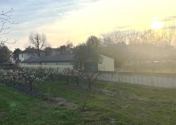 Terreno edificabile Massa Lombarda - foto 4