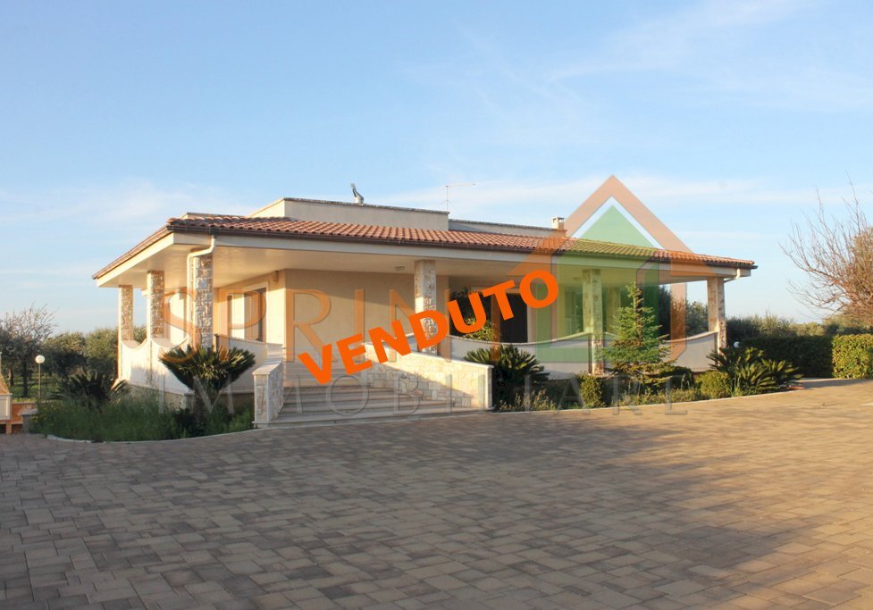 IMG_3829.jpg - Villa Monopoli - foto 1