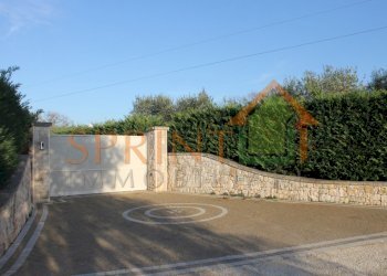 IMG_3016.JPG - Villa Monopoli - foto 4