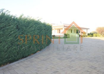 IMG_3028.JPG - Villa Monopoli - foto 7