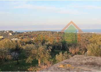 IMG_3083.JPG - Villa Monopoli - foto 17