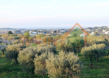 IMG_3087.JPG - Villa Monopoli - foto 18