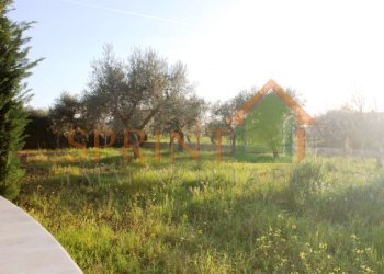 IMG_3033.JPG - Villa Monopoli - foto 19