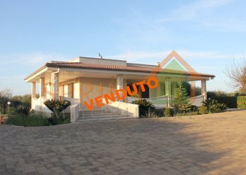 IMG_3829.jpg - Villa Monopoli - foto 1