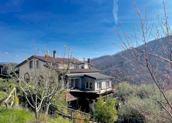 WhatsApp Image 2024-03-23 at 11.36.31(2).jpg - Villa Trifamiliare Tresana - foto 1