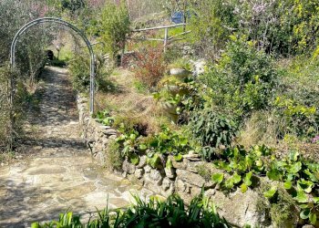 WhatsApp Image 2024-03-23 at 11.36.31(16).jpg - Villa Trifamiliare Tresana - foto 5