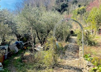 WhatsApp Image 2024-03-23 at 11.36.31(13).jpg - Villa Trifamiliare Tresana - foto 7