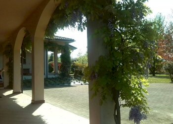 Giardino - Shop viale Torino, Alba - photo 23