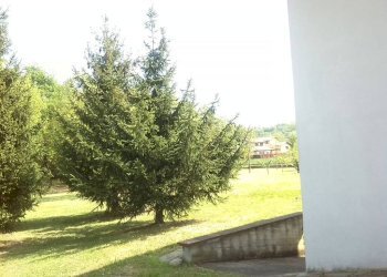 Giardino - Negozio via Torino, 57, Milano - foto 21