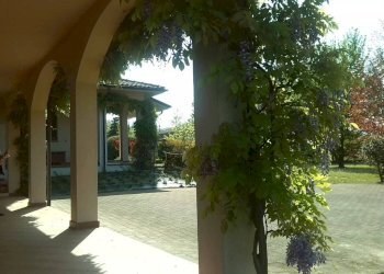 Giardino - Negozio via Torino, 57, Milano - foto 23