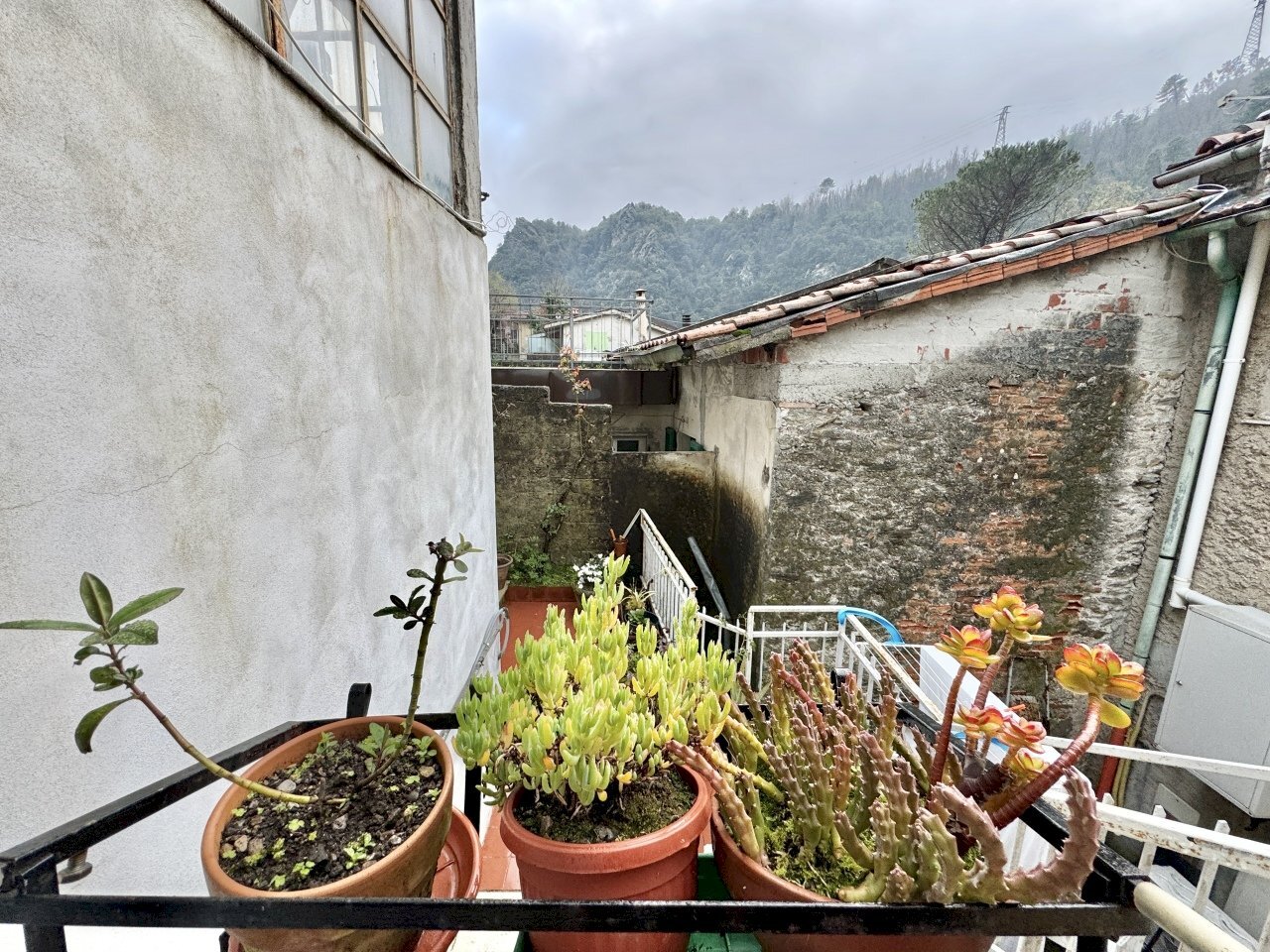 IMG_3671 4.jpg - Townhouse Seravezza - photo 2