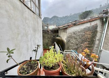 IMG_3671 4.jpg - Terratetto - Terracielo Seravezza - foto 2