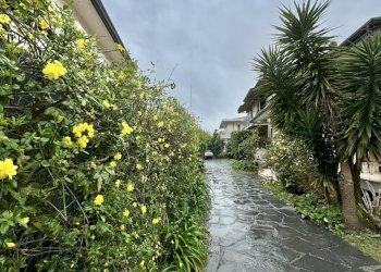 IMG_3634.jpg - Porzione di casa Massa - foto 1