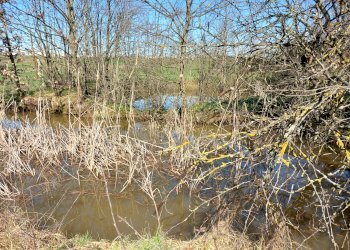 Cascina Moriondo Torinese - foto 25