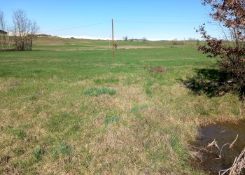 Cascina Moriondo Torinese - foto 26