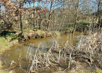 Cascina Moriondo Torinese - foto 27