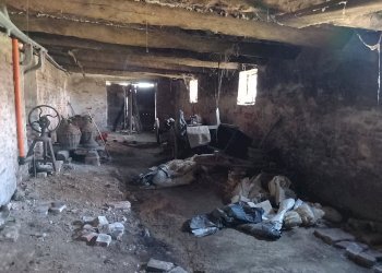 Cascina Moriondo Torinese - foto 30