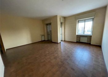 Trilocale Alessandria - foto 1