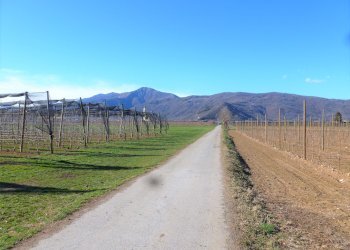 Rustic Via Centallo, 15, Dronero - photo 37