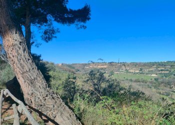 Villa a Schiera Contrada Cantagallo, Fermo - foto 16
