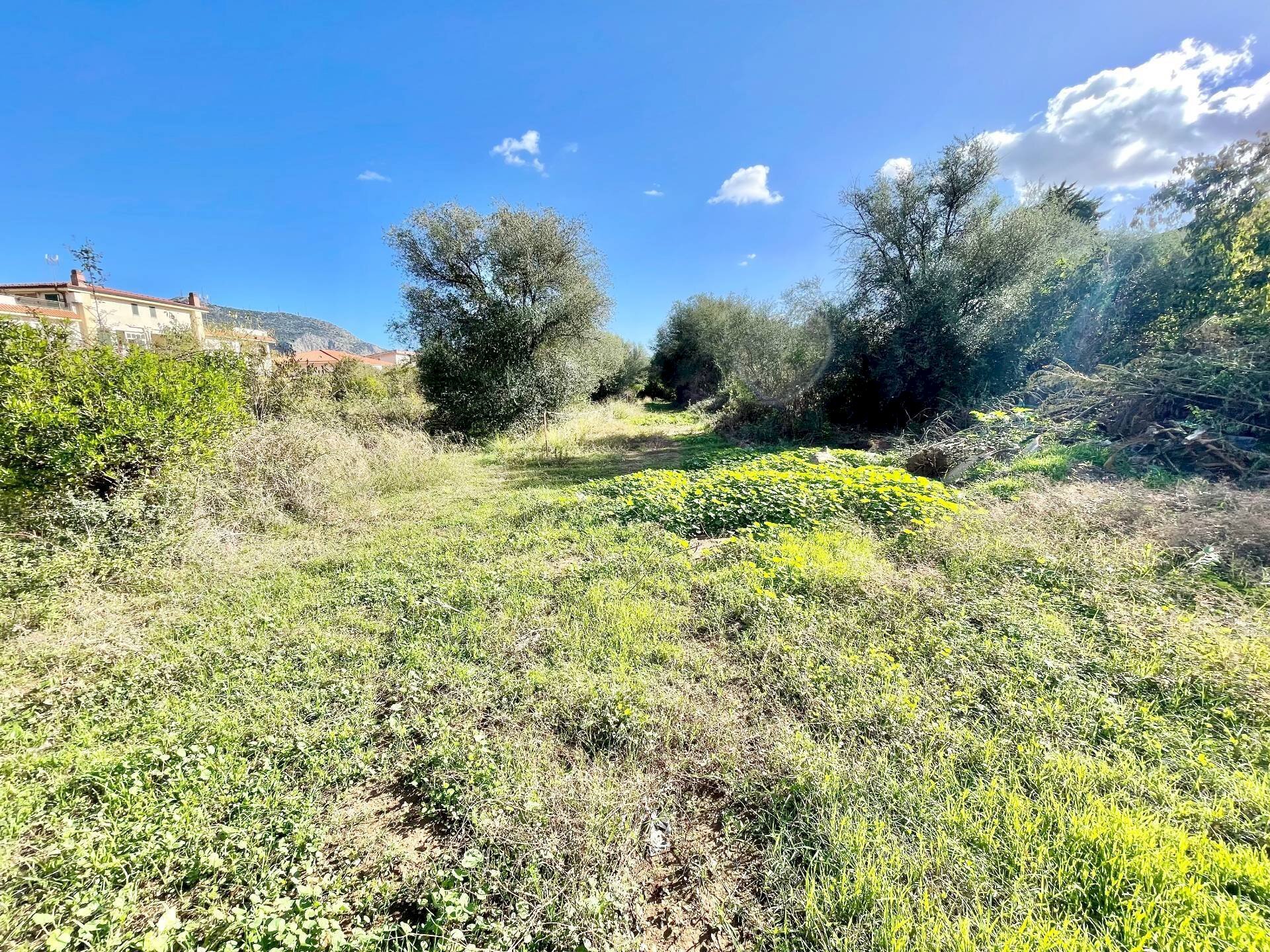 Terreno agricolo Fondo Chiusa Grande, Palermo - foto 2