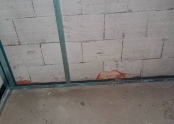 Box auto - Negozio corso Roma, Carpi - foto 9