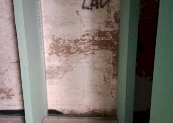 Box auto - Negozio corso Roma, Carpi - foto 12