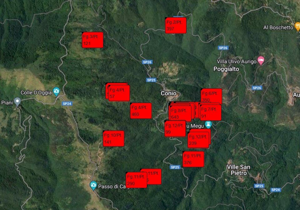 Agricultural land SP25, Borgomaro - floor plans 1