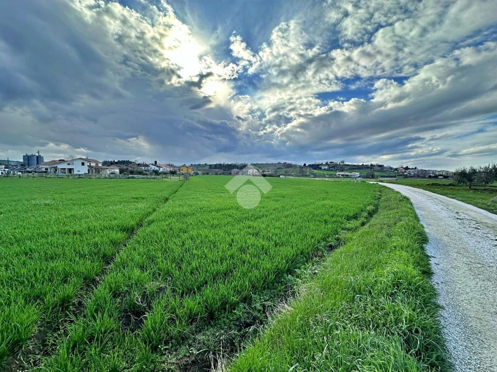 Terreno agricolo Via roma, San Giovanni in Marignano - foto 3