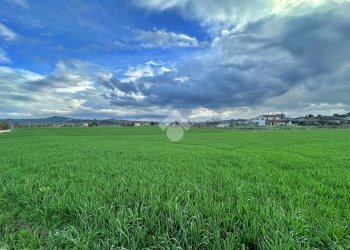 Terreno agricolo Via roma, San Giovanni in Marignano - foto 2
