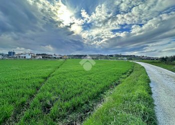 Terreno agricolo Via roma, San Giovanni in Marignano - foto 3