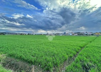 Terreno agricolo Via roma, San Giovanni in Marignano - foto 6