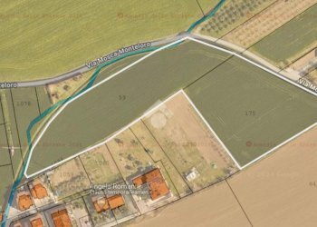 Terreno agricolo Via roma, San Giovanni in Marignano - foto 8