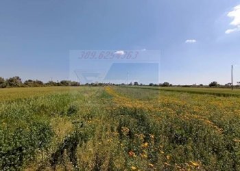 terreno - Terreno edificabile Strada Benali, Siracusa - foto 7