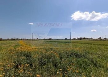 terreno - Terreno edificabile Strada Benali, Siracusa - foto 10