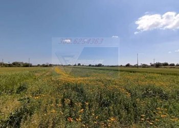 terreno - Terreno edificabile Strada Benali, Siracusa - foto 13