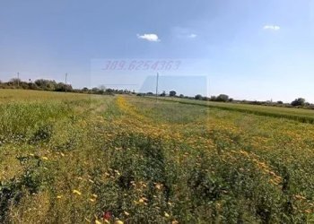 terreno - Terreno edificabile Strada Benali, Siracusa - foto 18