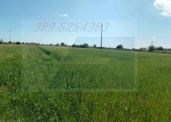 terreno - Terreno edificabile Strada Benali, Siracusa - foto 22